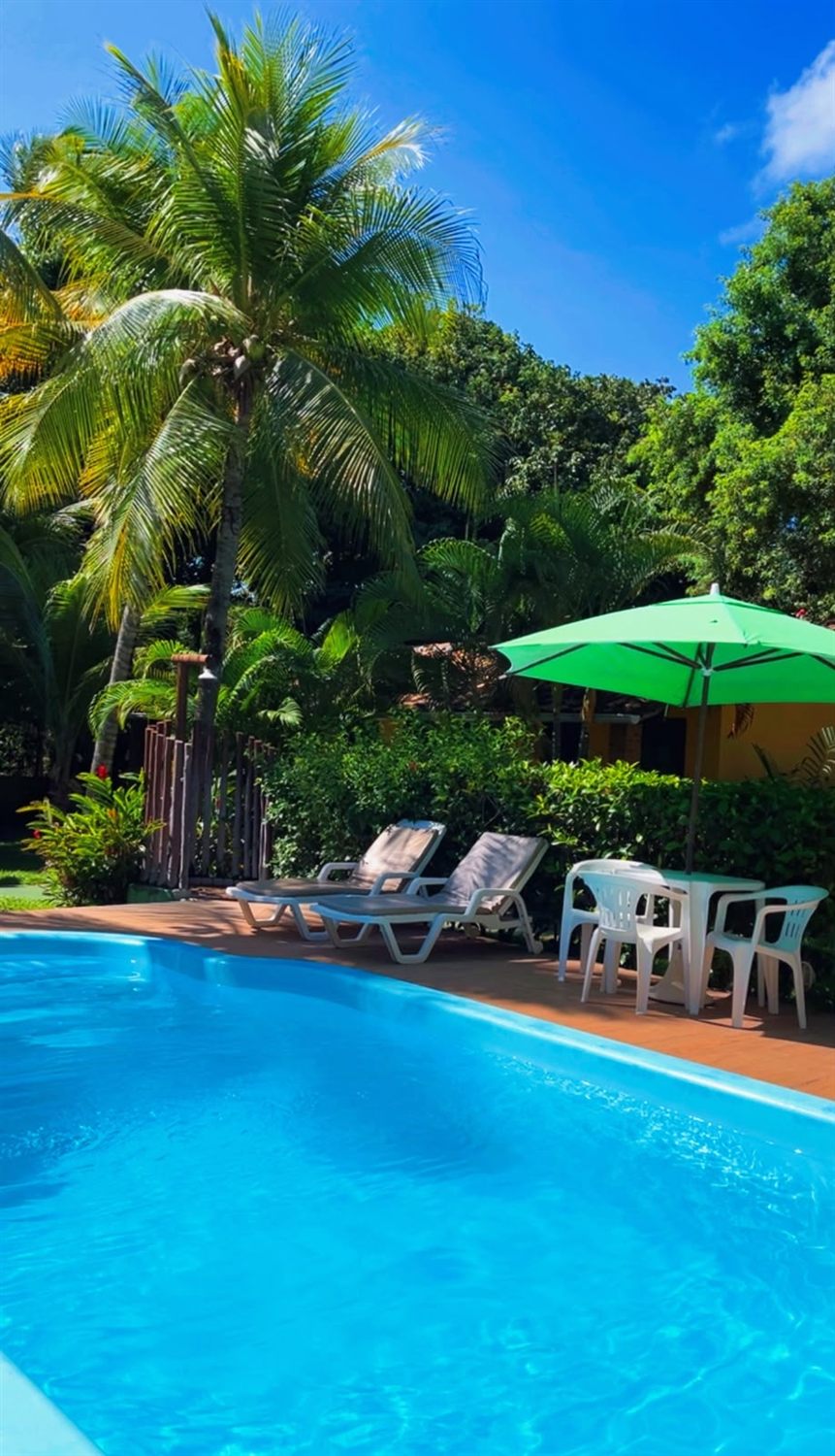 A piscina cercada de coqueiros